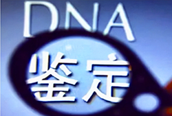 大理隐私亲子鉴定办理流程，大理隐私亲子鉴定多少钱
