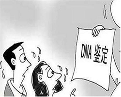 大理亲子鉴定中心在哪里，大理亲子鉴定需要的条件和材料有哪些